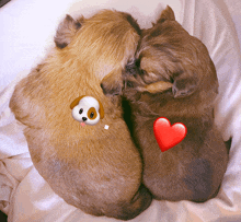 two puppies hugging each other with a red heart on their backs