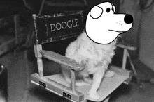 a dog is sitting in a director 's chair with a sign that says doogle on it