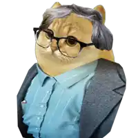 a cat with glasses and a gray wig