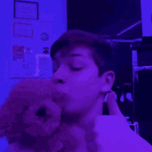 a young man is kissing a teddy bear on the cheek in a purple room .