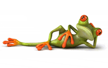 a green and orange frog is laying down with its head on its hand