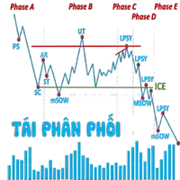 phase a phase b phase c phase d and phase e are shown on a chart