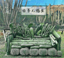 a couch made out of cactus with chinese writing on the bottom