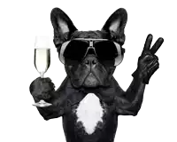 a dog wearing sunglasses and a bow tie is holding a glass of champagne and making a peace sign