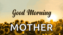 a field of sunflowers with the words `` good morning mother '' on it