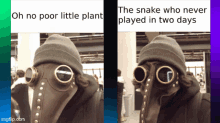 The Snake Who Never Played Poor Floran Meme