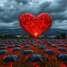 a field of umbrellas in front of a large heart shaped balloon