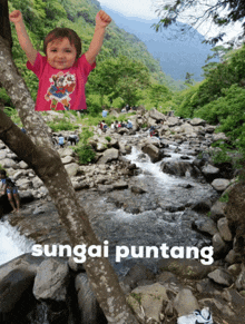 a little girl in a pink shirt is standing in front of a river with the words sungai puntang below it