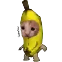 a cat is wearing a banana costume and talking .