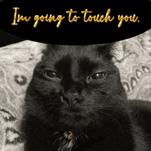 a black cat with the words i 'm going to touch you written above it