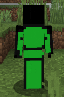 a green minecraft character with a black head