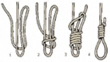 a set of rope knots on a white background