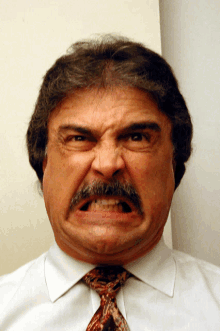 a man with a mustache wearing a white shirt and tie is making an angry face