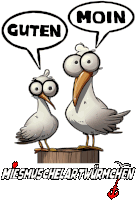 a cartoon of two seagulls standing next to each other with the words guten and moin above them