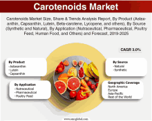 a poster for the carotenoids market showing a plate of fruits and vegetables