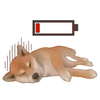 a shiba inu dog is laying down with a battery that is empty