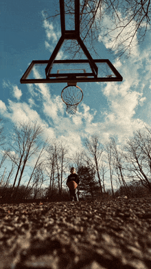 a person holding a basketball in front of a basketball hoop with trees in the background