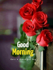 a picture of red roses with the words good morning