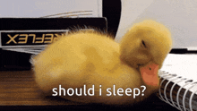 a small yellow duck is sleeping on a spiral notebook with the words should i sleep written below it