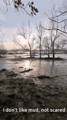 a picture of a muddy river with trees in the background and the caption i don 't like mud , not scared .