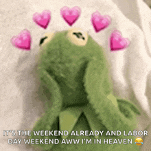 kermit the frog has pink hearts over his head and says it 's the weekend already