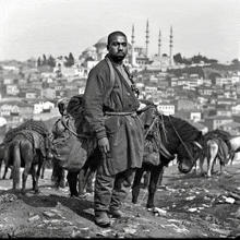 a black and white photo of a man standing next to horses with a city in the background