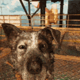 a close up of a dog 's face with a fence in the background and a sign that says garage