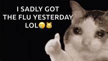 a cat giving a thumbs up with the words " i sadly got the flu yesterday lol " behind it