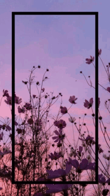 purple flowers against a pink and purple sky