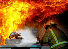 a fireman is spraying water on a fire with a turkey in the background