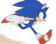 a blurry picture of a sonic the hedgehog running