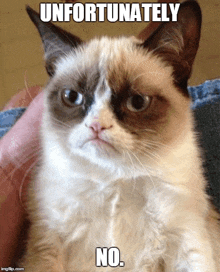 a grumpy cat with the words " unfortunately no " on the bottom