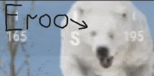 a drawing of a polar bear with the word eroos written above it