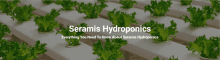 a banner for seramis hydroponics with lettuce growing on a rack