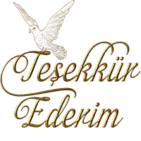 a drawing of a bird with the words tesekkin ederim below it