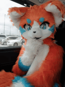 an orange and white furry animal with blue eyes is in a car