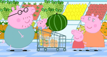 a group of pigs are standing in a grocery store