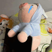 a stuffed pig wearing a blue hoodie with a blue tear on its face