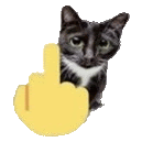 a black and white cat is looking out from behind a yellow middle finger .