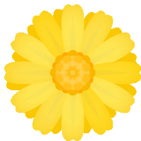 a yellow flower with a yellow center and petals