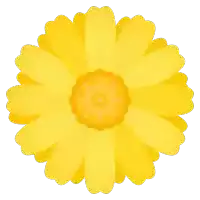 a yellow flower with a yellow center and petals