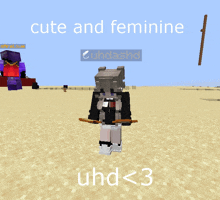 a screenshot of a minecraft game with the words cute and feminine uhdashd