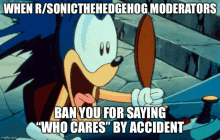 a cartoon of sonic the hedgehog saying " ban you for saying who cares by accident "