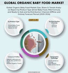 a graphic showing the global organic baby food market