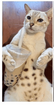 a cat is holding a cup with a straw in it