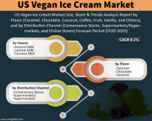 us vegan ice cream market size share & trends analysis report by flavor caramel chocolate coconut