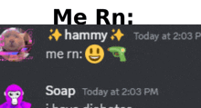 a screenshot of a discord chat with the words me rn hammy today at 2:03 pm and soap today at 2:03 pm