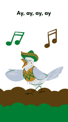 a drawing of a bird wearing a sombrero singing with music notes behind it