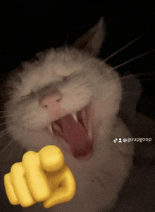 a cat yawning with a yellow finger pointing at the camera