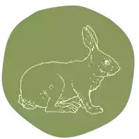 a drawing of a rabbit in a green circle on a white background